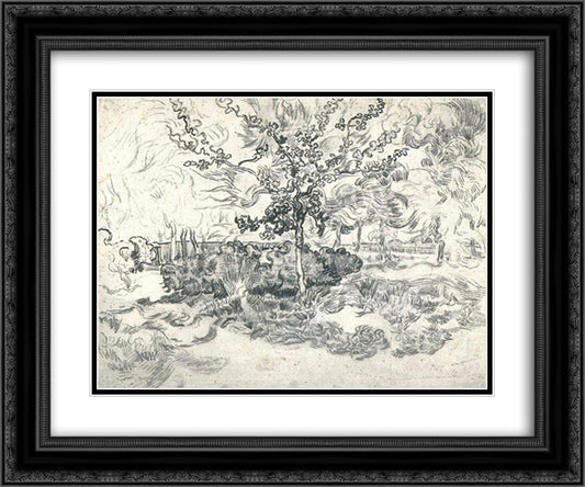 Garden of the Asylum 24x20 Black Ornate Wood Framed Art Print Poster with Double Matting by Van Gogh, Vincent