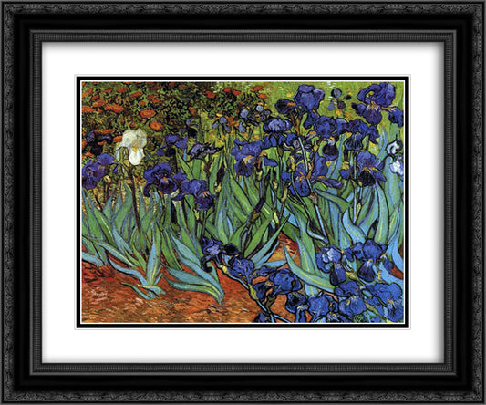 Irises 24x20 Black Ornate Wood Framed Art Print Poster with Double Matting by Van Gogh, Vincent