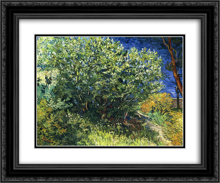 Lilac Bush 24x20 Black Ornate Wood Framed Art Print Poster with Double Matting by Van Gogh, Vincent
