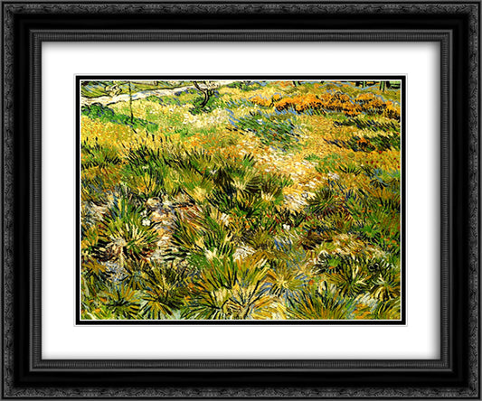 Meadow in the Garden of Saint-Paul Hospital 24x20 Black Ornate Wood Framed Art Print Poster with Double Matting by Van Gogh, Vincent
