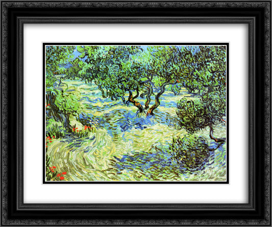 Olive Grove - Bright Blue Sky 24x20 Black Ornate Wood Framed Art Print Poster with Double Matting by Van Gogh, Vincent