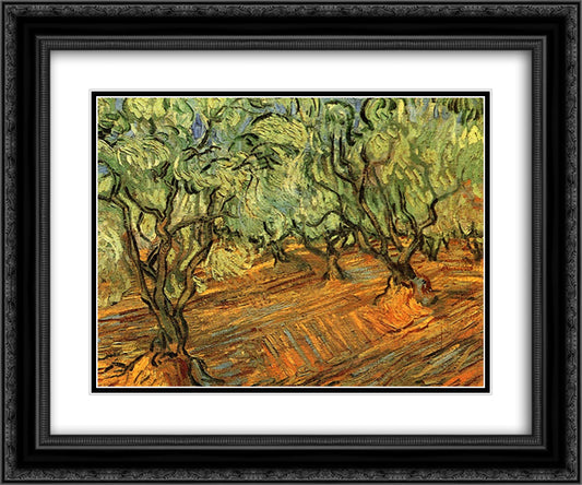 Olive Grove - Bright Blue Sky 24x20 Black Ornate Wood Framed Art Print Poster with Double Matting by Van Gogh, Vincent