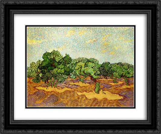 Olive Grove - Pale Blue Sky 24x20 Black Ornate Wood Framed Art Print Poster with Double Matting by Van Gogh, Vincent