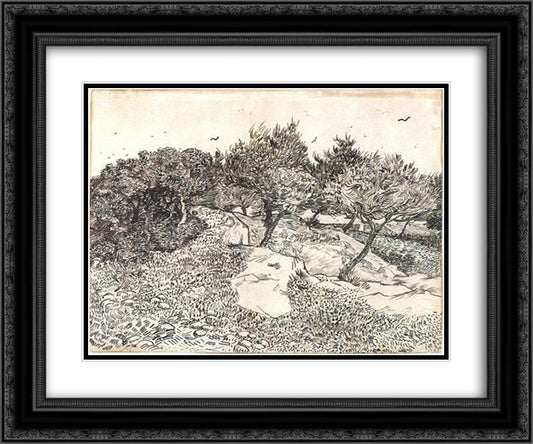 Olive Trees 24x20 Black Ornate Wood Framed Art Print Poster with Double Matting by Van Gogh, Vincent