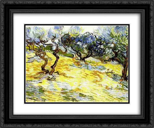 Olive Trees Bright Blue Sky 24x20 Black Ornate Wood Framed Art Print Poster with Double Matting by Van Gogh, Vincent