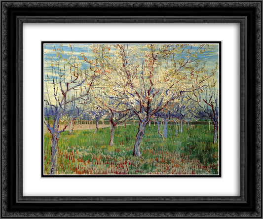 Orchard with Blossoming Apricot Trees 24x20 Black Ornate Wood Framed Art Print Poster with Double Matting by Van Gogh, Vincent