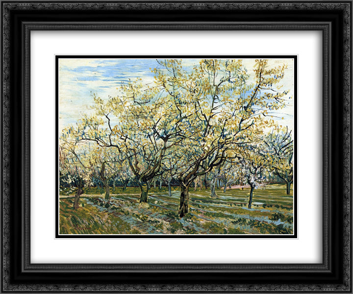 Orchard with Blossoming Plum Trees 24x20 Black Ornate Wood Framed Art Print Poster with Double Matting by Van Gogh, Vincent