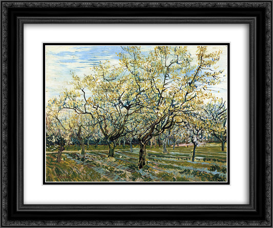 Orchard with Blossoming Plum Trees 24x20 Black Ornate Wood Framed Art Print Poster with Double Matting by Van Gogh, Vincent