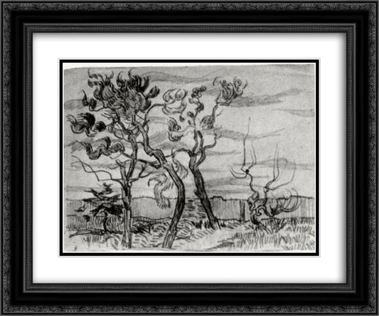 Pine Trees in Front of the Wall of the Asylum 24x20 Black Ornate Wood Framed Art Print Poster with Double Matting by Van Gogh, Vincent