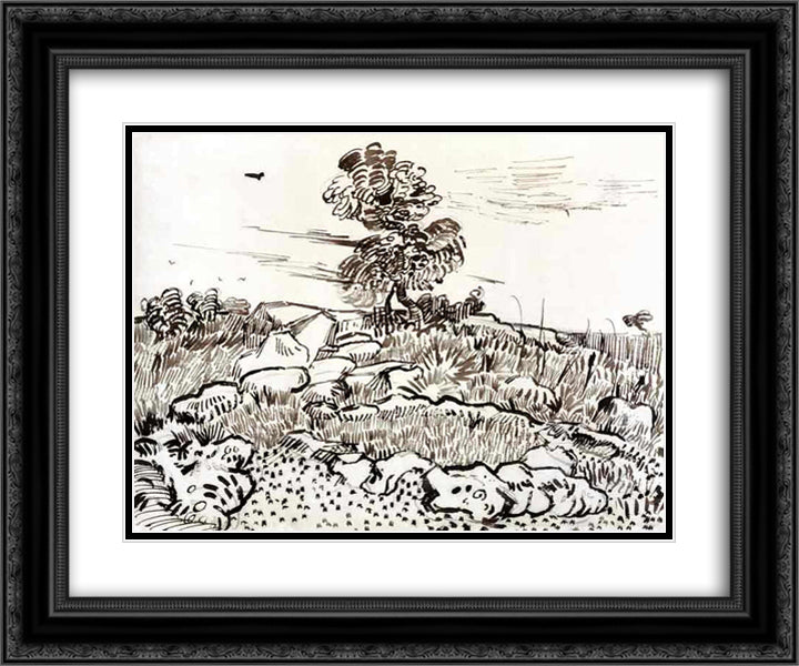 Rocky Ground at Montmajour 24x20 Black Ornate Wood Framed Art Print Poster with Double Matting by Van Gogh, Vincent
