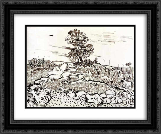 Rocky Ground at Montmajour 24x20 Black Ornate Wood Framed Art Print Poster with Double Matting by Van Gogh, Vincent