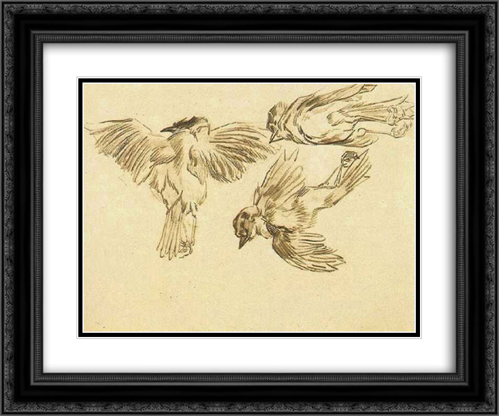 Studies of a Dead Sparrow 24x20 Black Ornate Wood Framed Art Print Poster with Double Matting by Van Gogh, Vincent