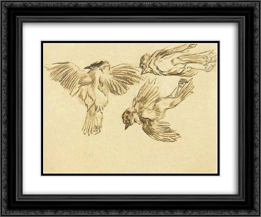 Studies of a Dead Sparrow 24x20 Black Ornate Wood Framed Art Print Poster with Double Matting by Van Gogh, Vincent
