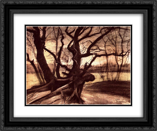 Study of a Tree 24x20 Black Ornate Wood Framed Art Print Poster with Double Matting by Van Gogh, Vincent