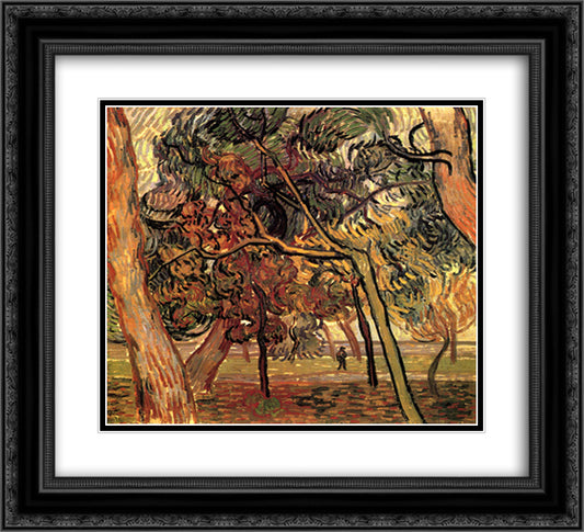 Study of Pine Trees 22x20 Black Ornate Wood Framed Art Print Poster with Double Matting by Van Gogh, Vincent