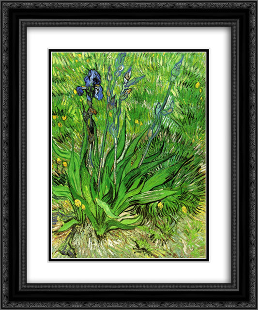 The Iris 20x24 Black Ornate Wood Framed Art Print Poster with Double Matting by Van Gogh, Vincent