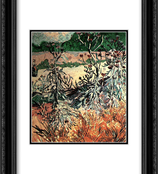 Thistles 20x22 Black Ornate Wood Framed Art Print Poster with Double Matting by Van Gogh, Vincent