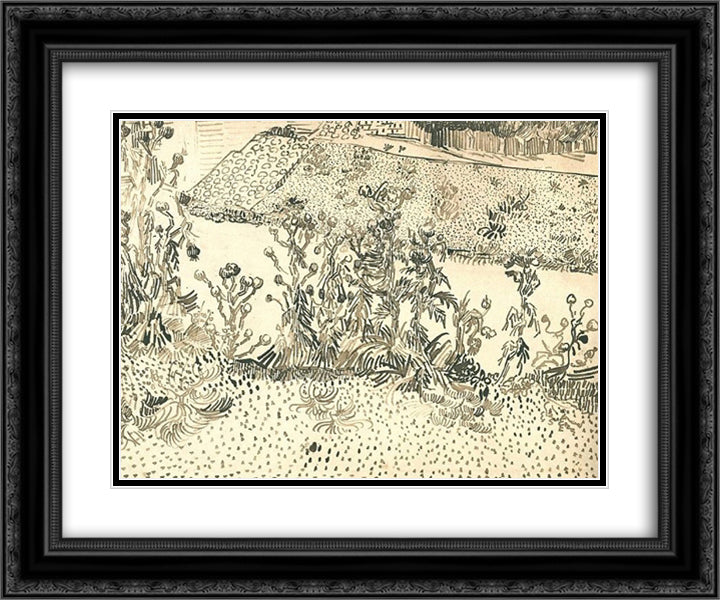 Thistles Along the Roadside 24x20 Black Ornate Wood Framed Art Print Poster with Double Matting by Van Gogh, Vincent