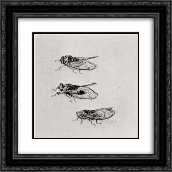 Three Cicadas 20x20 Black Ornate Wood Framed Art Print Poster with Double Matting by Van Gogh, Vincent