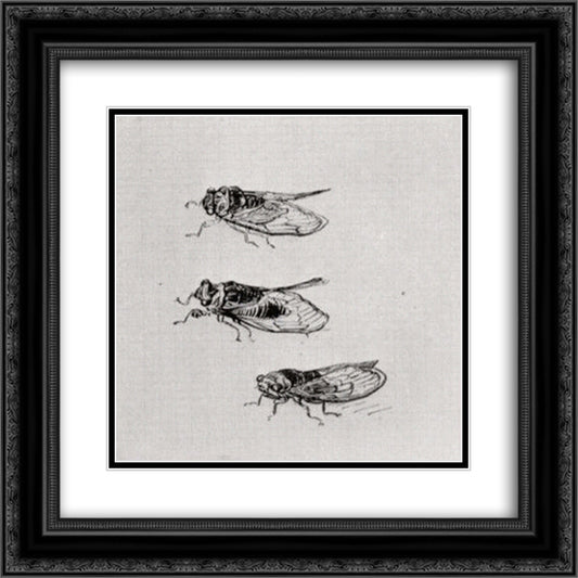 Three Cicadas 20x20 Black Ornate Wood Framed Art Print Poster with Double Matting by Van Gogh, Vincent