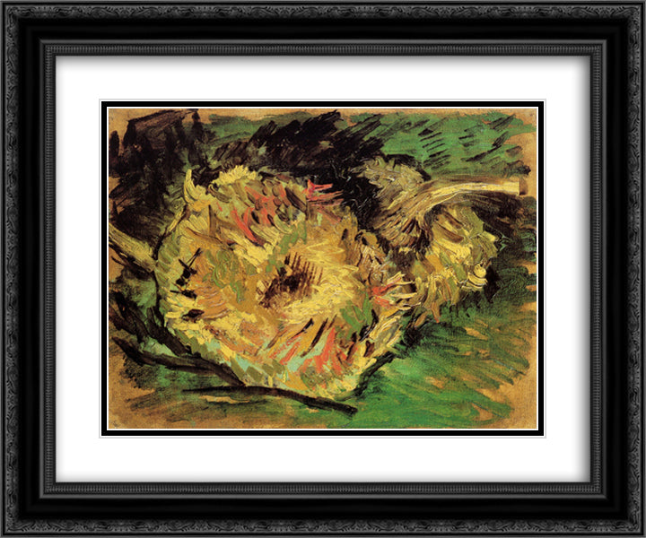 Two Cut Sunflowers 24x20 Black Ornate Wood Framed Art Print Poster with Double Matting by Van Gogh, Vincent