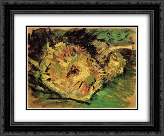 Two Cut Sunflowers 24x20 Black Ornate Wood Framed Art Print Poster with Double Matting by Van Gogh, Vincent