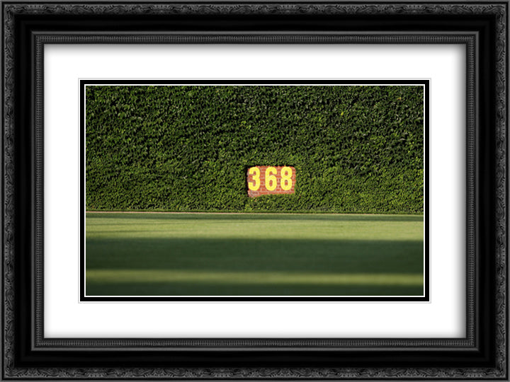 Wrigley Field Ivy 24x18 Black Ornate Wood Framed Art Print Poster with Double Matting