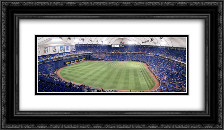 Hubert Humphrey Metrodone 24x14 Black Ornate Wood Framed Art Print Poster with Double Matting