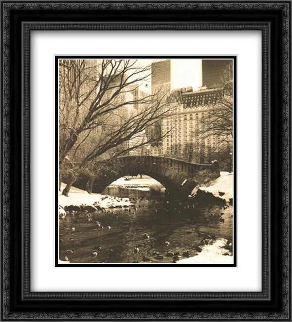 Central Park Bridges IV 15x18 Black Ornate Wood Framed Art Print Poster with Double Matting by Bliss, Chris