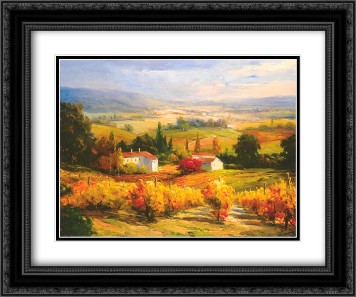 Hazy Tuscan Farm 14x12 Black Ornate Wood Framed Art Print Poster with Double Matting by Hinus, S.