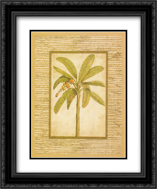 Banana Palm 12x14 Black Ornate Wood Framed Art Print Poster with Double Matting by Hassy, Victoria