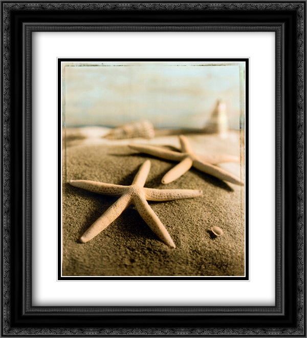 Seashell IV 15x18 Black Ornate Wood Framed Art Print Poster with Double Matting by Wampler, Sondra