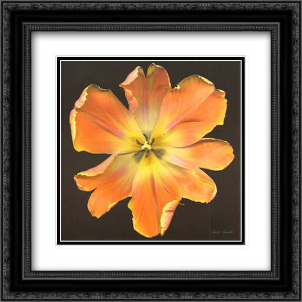 Exuberance 15x18 Black Ornate Wood Framed Art Print Poster with Double Matting by Feinstein