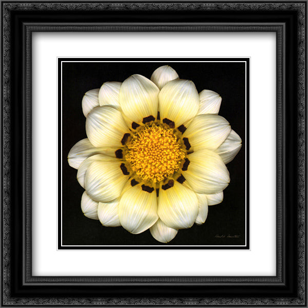 Reverie 15x18 Black Ornate Wood Framed Art Print Poster with Double Matting by Feinstein