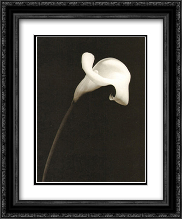 Calla Lily II 15x18 Black Ornate Wood Framed Art Print Poster with Double Matting