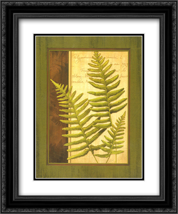 Fern Grotto III 15x18 Black Ornate Wood Framed Art Print Poster with Double Matting by Corbin, Delphine