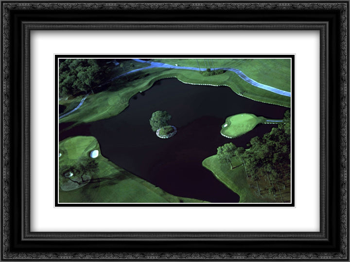 TPC Sawgrass #17 Aerial #351 16x12 Black Ornate Wood Framed Art Print Poster with Double Matting