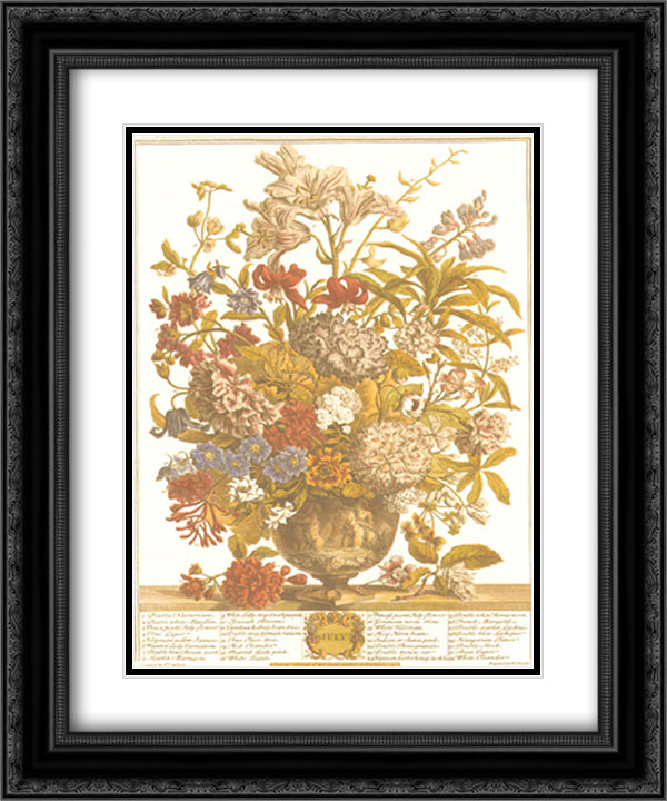 Twelve Months of Flowers, 1730/July 13x16 Black Ornate Wood Framed Art Print Poster with Double Matting by Furber, Robert