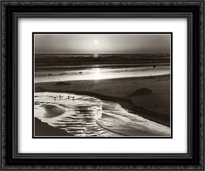 Birds on a Beach 15x18 Black Ornate Wood Framed Art Print Poster with Double Matting by Adams, Ansel