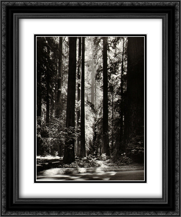 Redwoods, Founder's Grove 15x18 Black Ornate Wood Framed Art Print Poster with Double Matting by Adams, Ansel