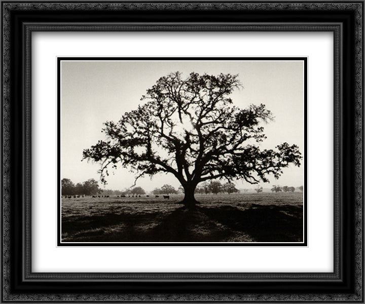 Oak Tree Sunrise 15x18 Black Ornate Wood Framed Art Print Poster with Double Matting by Adams, Ansel