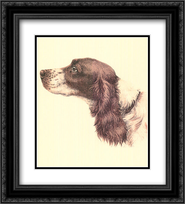 Printed Danchin Cocker Spaniel 14x17 Black Ornate Wood Framed Art Print Poster with Double Matting