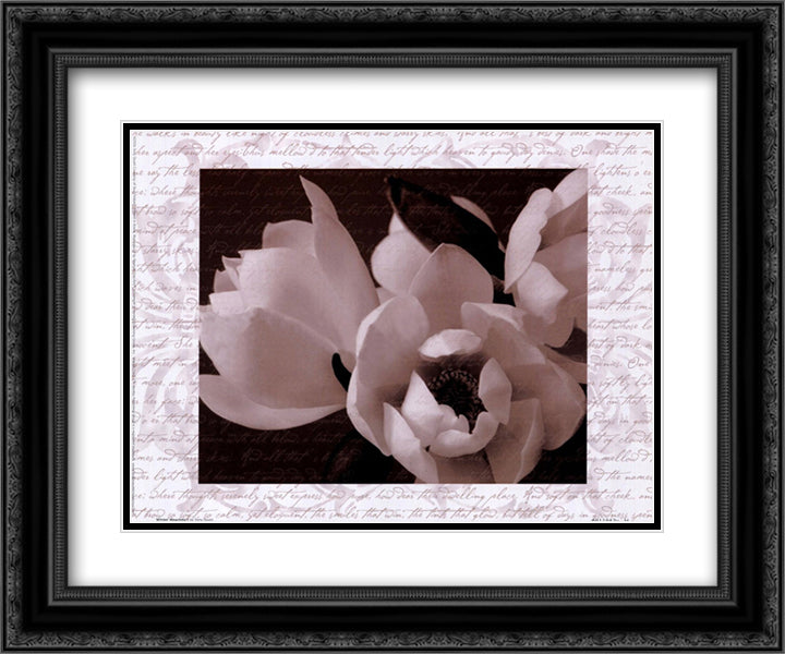 Winter Magnolia I 14x12 Black Ornate Wood Framed Art Print Poster with Double Matting by Stuart, Tony
