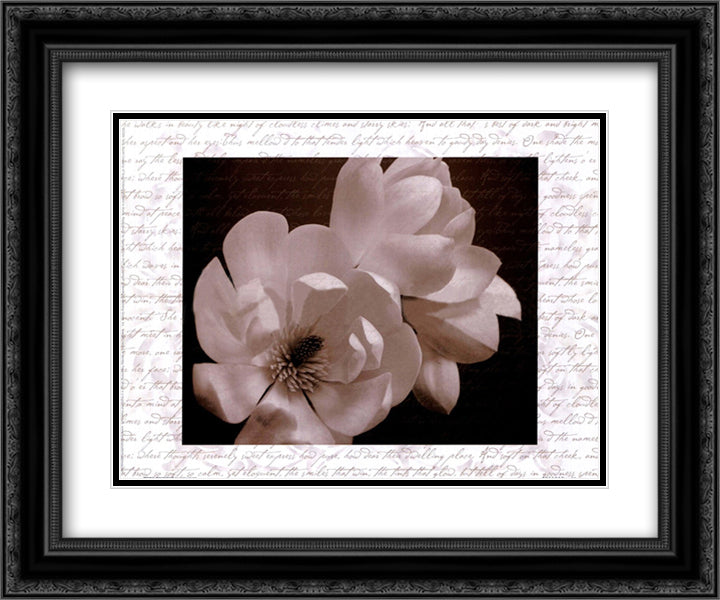 Winter Magnolia II 14x12 Black Ornate Wood Framed Art Print Poster with Double Matting by Stuart, Tony