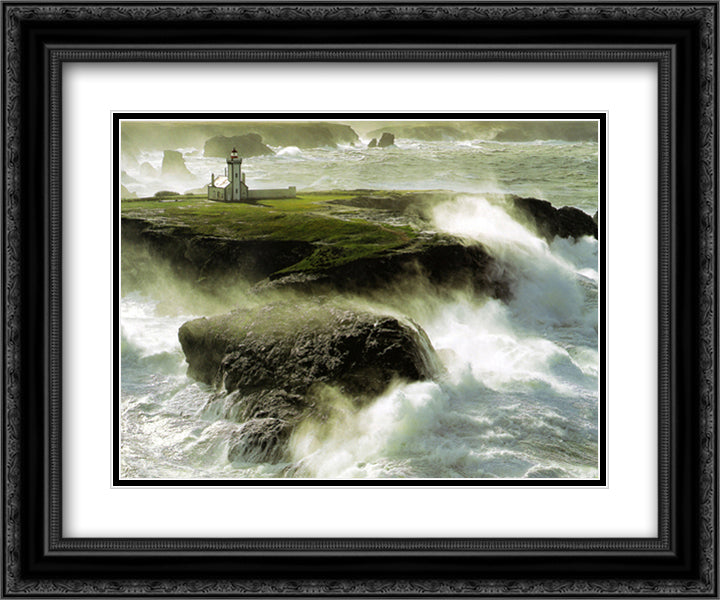 Avis De Coup De Vent Sur Les 15x18 Black Ornate Wood Framed Art Print Poster with Double Matting by Plisson, Philip