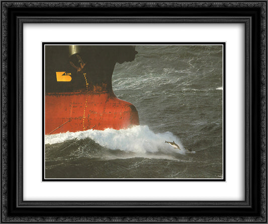 Dauphin Pilote 15x18 Black Ornate Wood Framed Art Print Poster with Double Matting by Plisson, Philip