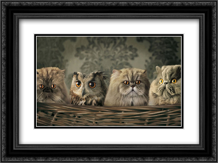 Cats and an Owl in a Basket 14x12 Black Ornate Wood Framed Art Print Poster with Double Matting