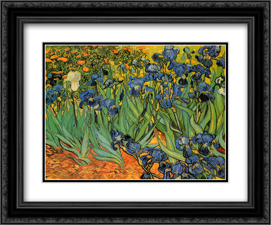 Garden Of Irises 18x15 Black Ornate Wood Framed Art Print Poster with Double Matting by Van Gogh, Vincent