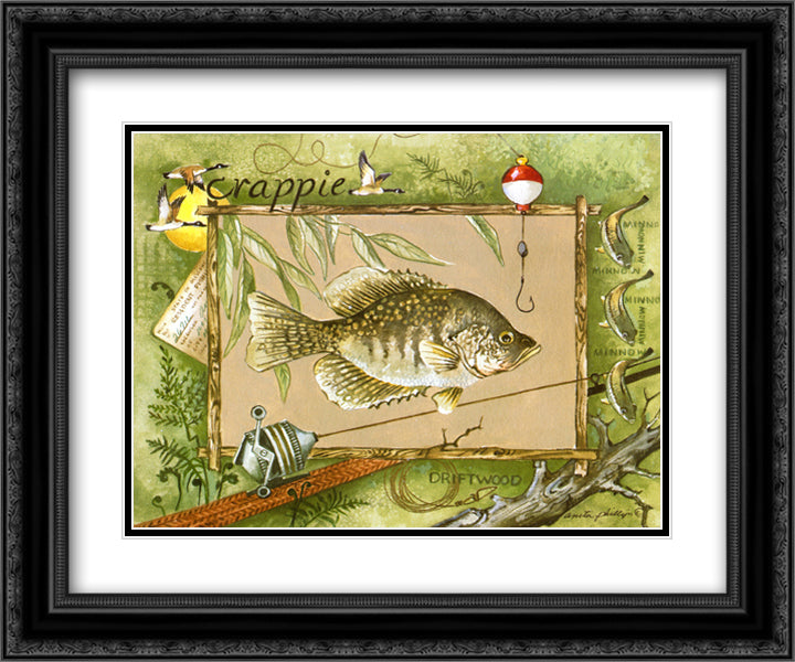 Crappie 15x18 Black Ornate Wood Framed Art Print Poster with Double Matting by Phillips, Anita