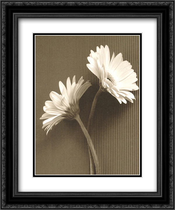 Fresh Cut Gerbera Daisy IV 15x18 Black Ornate Wood Framed Art Print Poster with Double Matting by Van Swearingen